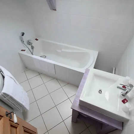 Hotel Gerard D'alsace 3*