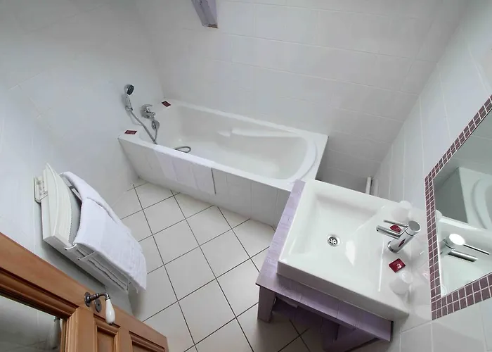 Hotel Gerard D'alsace 3*