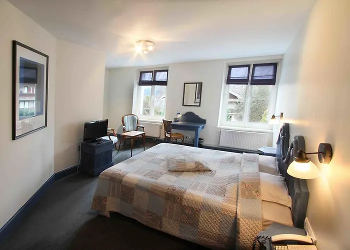 Hotel Gerard D'alsace 3*