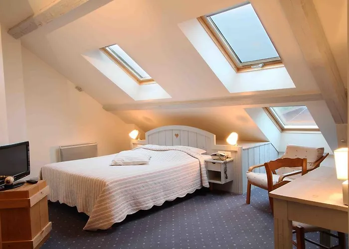 Hotel Gerard D'alsace